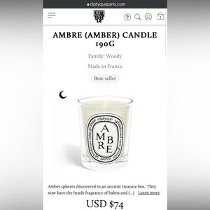 Diptyque Paris NWT HOLIDAY Blue Box 6.5oz 190g Ambre Candle